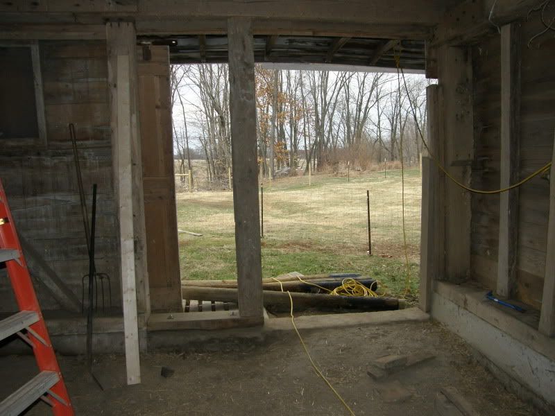 Finally...goat and barn pictures - Goats