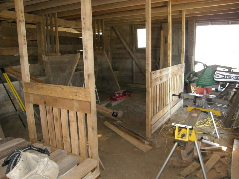 Finally...goat and barn pictures - Goats