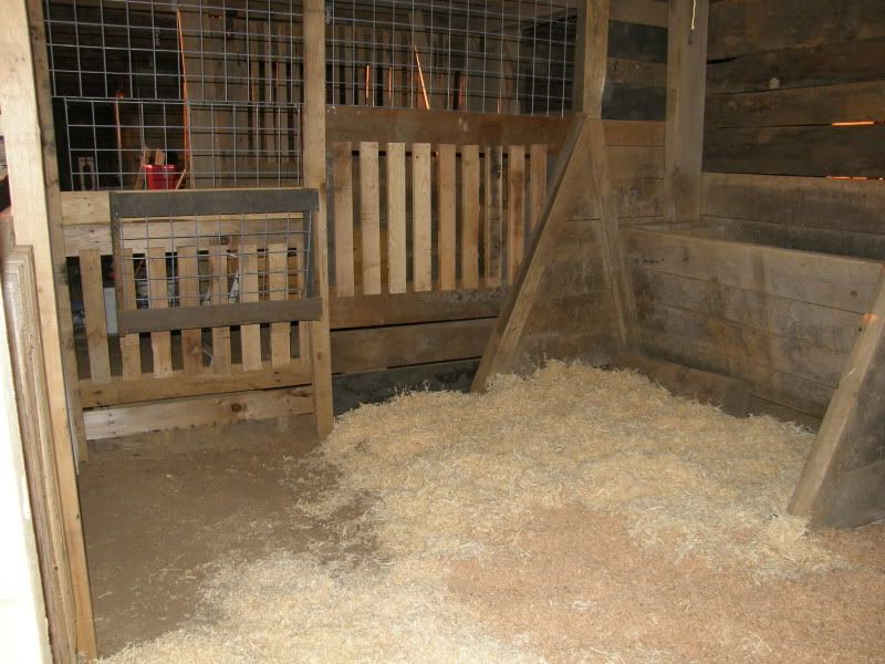 Finally...goat and barn pictures - Goats