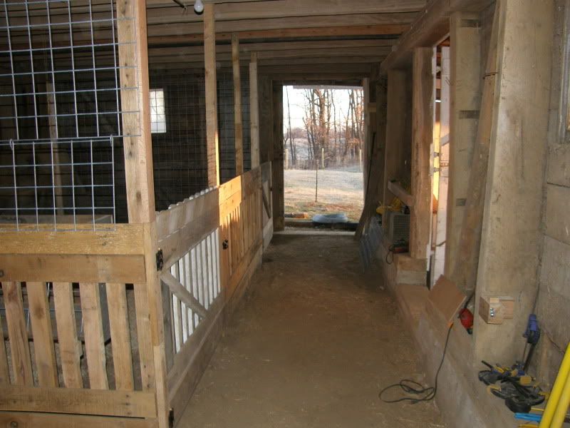 Finally...goat and barn pictures - Goats