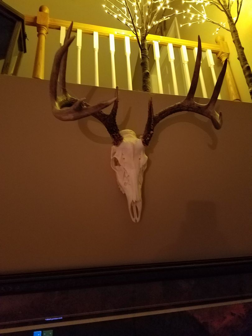Shoulder Mount or European Mount?