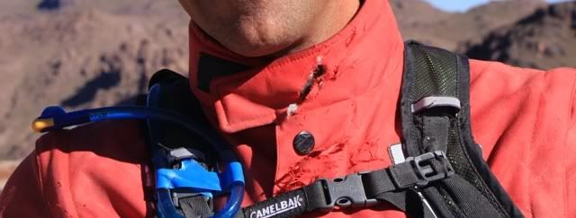 cuello.jpg