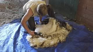 I need some enablers! - Fiber Arts