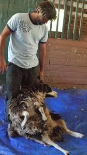 I need some enablers! - Fiber Arts