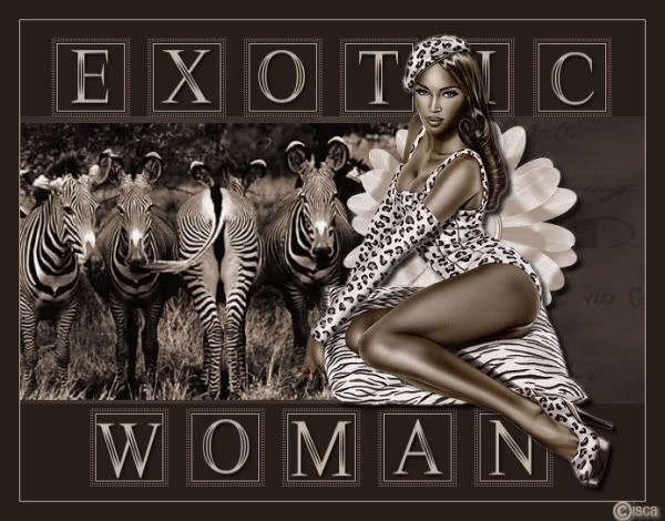 ExoticWomanzebra.jpg picture by 1944Princess