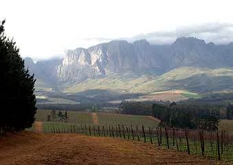 Lourensford4.jpg picture by 1944Princess