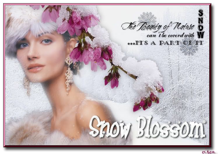 Snow-Blossom.jpg picture by 1944Princess