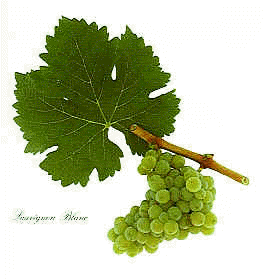 sauvignon_blanc_grapes.gif picture by 1944Princess