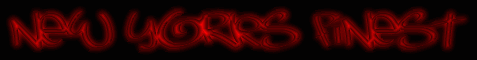 NYBanner.gif
