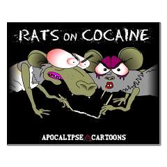 Rats On Cocaine