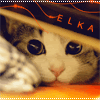 elka3.gif