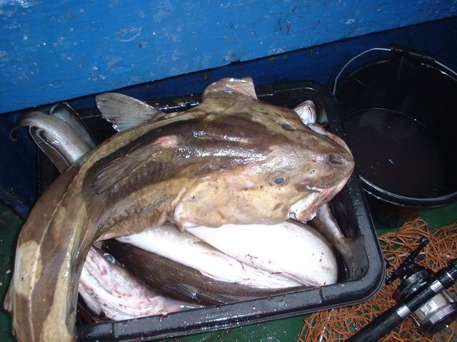 DSCF0008.jpg