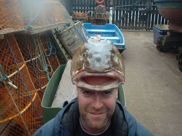 DSCF0013.jpg