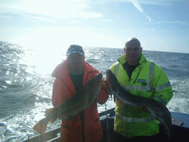 bertscullcodling28thaugust.gif