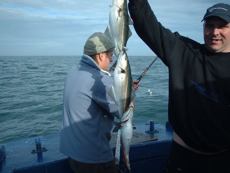 pic1.jpg