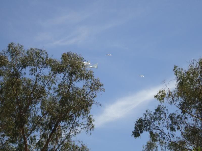 20120921_120500_zpse310213e.jpg