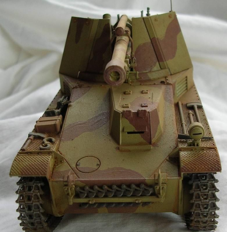 wespe8.jpg