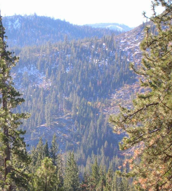 CA1.jpg