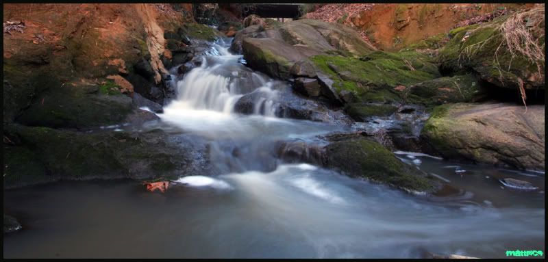 IMAGE: http://i65.photobucket.com/albums/h231/mattpics_photos1/IMG_1305copy.jpg