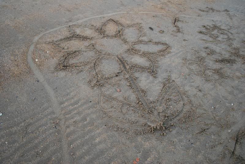 DSC_0730.jpg