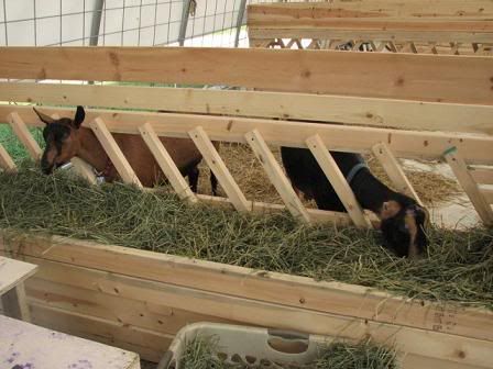 Hay-Feeder-Plans ... with pics/plans of large hay feeders? - The Goat Spot - Goat Forum