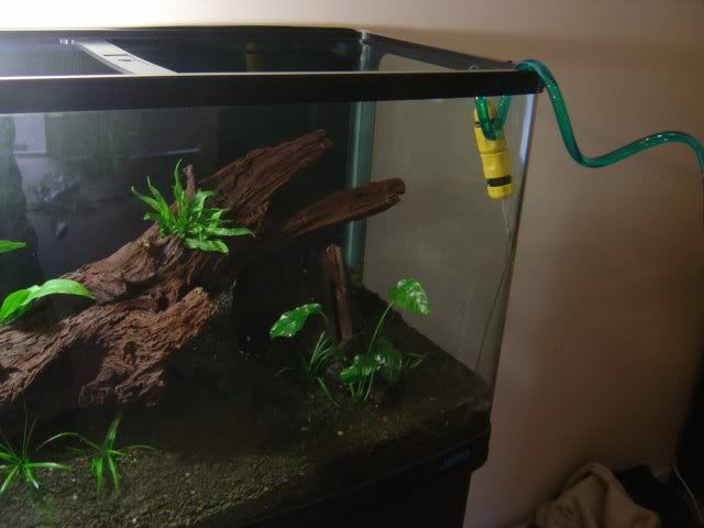 fishtank10.jpg