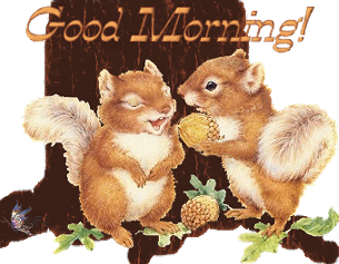 Good_Morning_Squirrels.gif