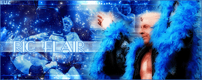 great-flair-euz.gif ric flair image by euz54