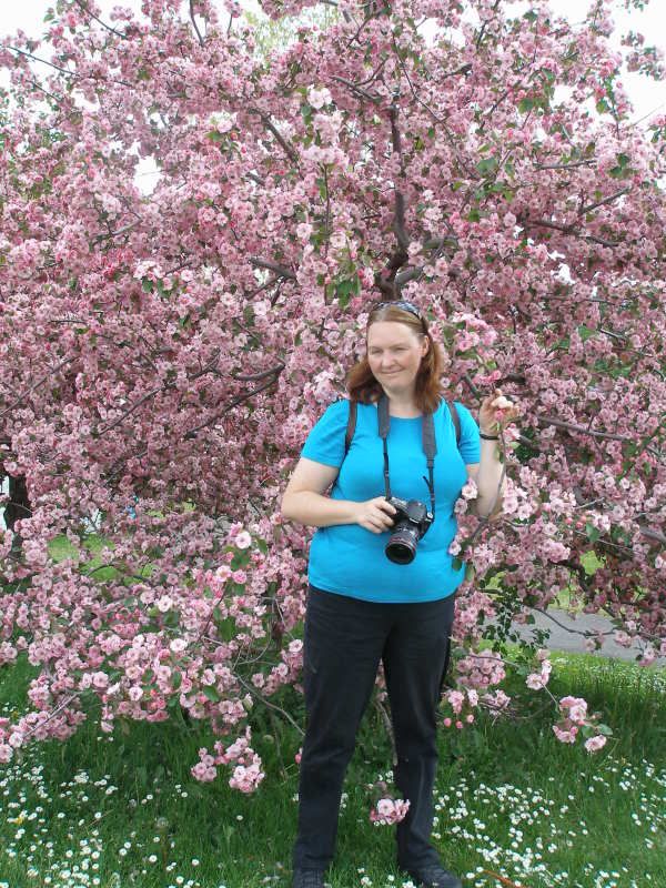 Brandywine Crabapple