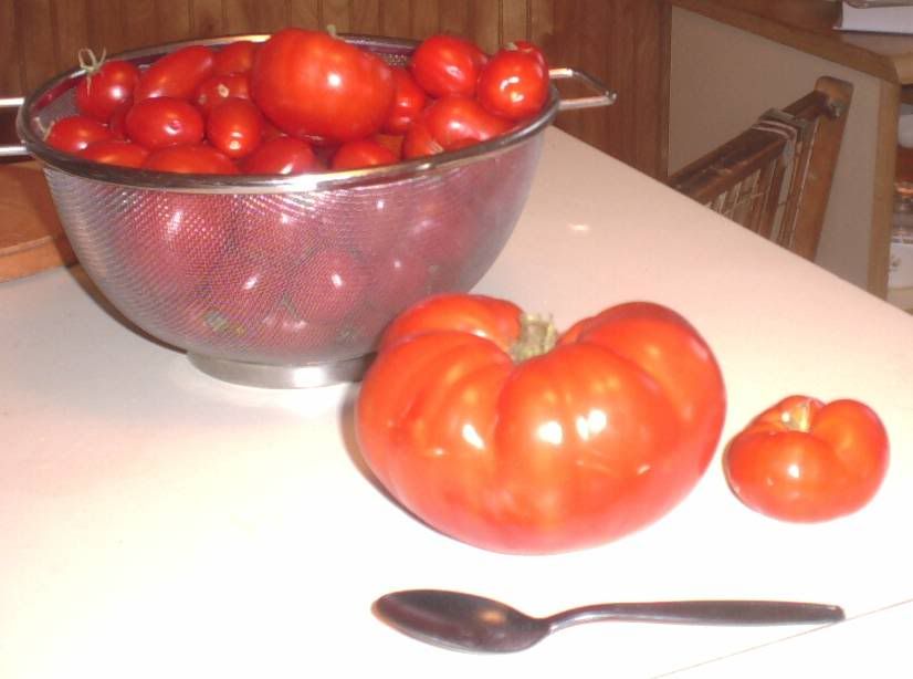 Photobucket - Video and Image Hosting