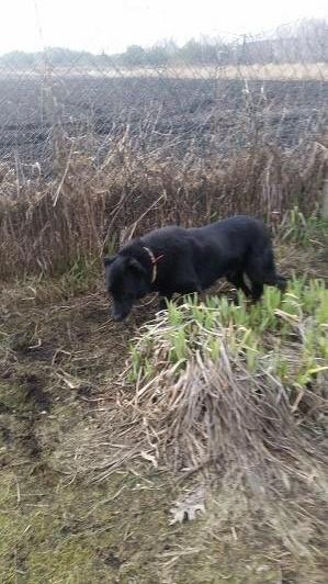 aadd7bac-aa35-490f-aafb-a73e1a1b3248_zps