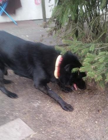 b5c6b9c4-7180-493d-bc66-91c8f692150a_zps