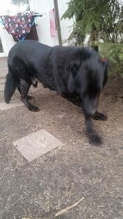 d8b5c6ba-05a8-41eb-a1e0-573b9cc8e8e4_zps