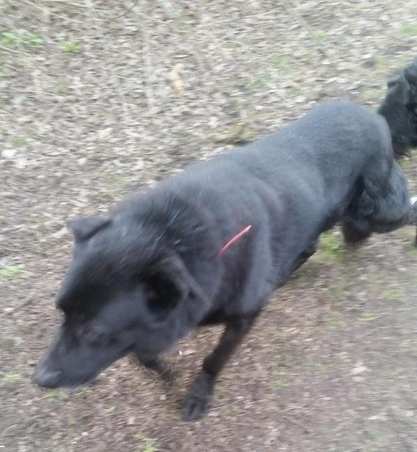 e75ab1cb-452d-48eb-ae78-daba1c41dd51_zps