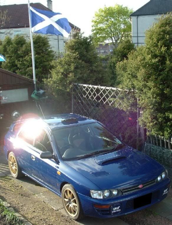 wax_polish_3.jpg