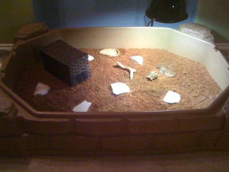 Zoo med tortoise clearance playpen