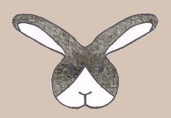 chinchilla chinchilla