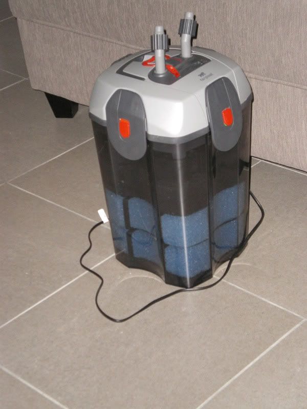 http://i65.photobucket.com/albums/h238/Trooper47/Aqua/IMGP1279.jpg