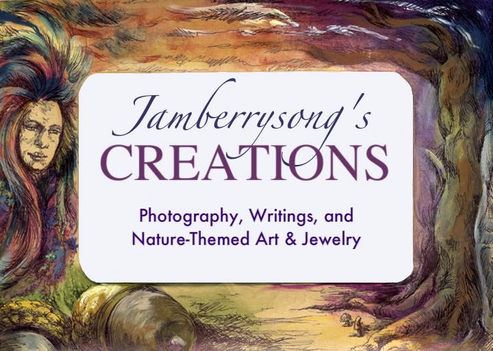 Jamberrysong's Creations