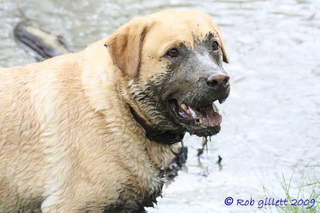 IMAGE: http://i65.photobucket.com/albums/h238/madasscivic/DPP_0020copy.jpg