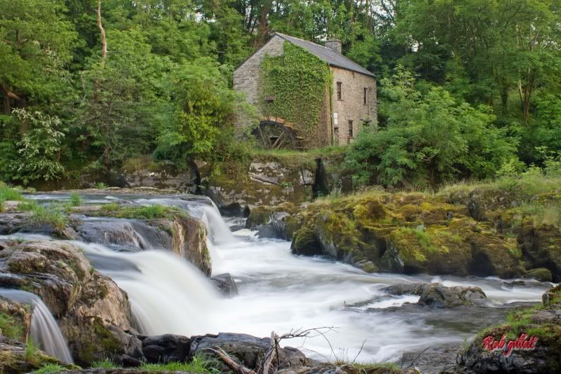 IMAGE: http://i65.photobucket.com/albums/h238/madasscivic/IMG_8465copy.jpg