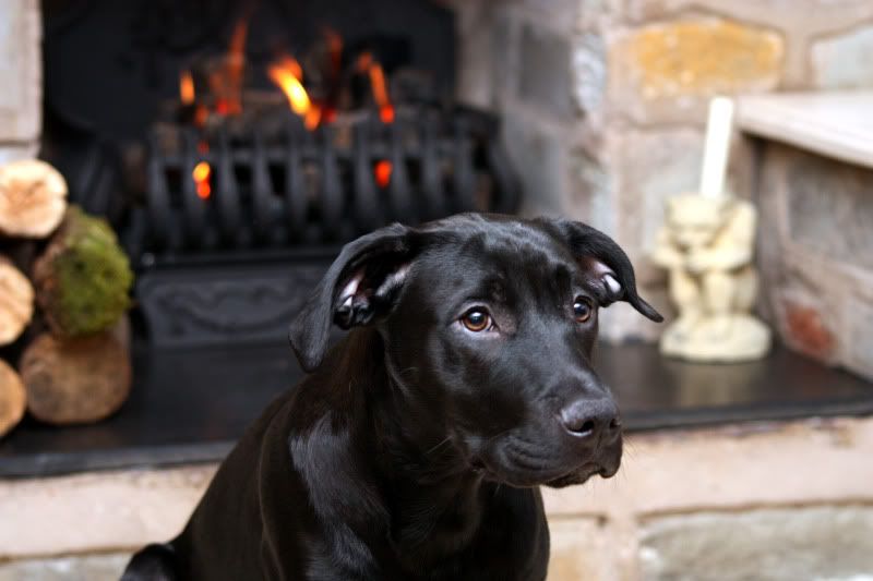 IMAGE: http://i65.photobucket.com/albums/h238/madasscivic/IMG_8566copy.jpg