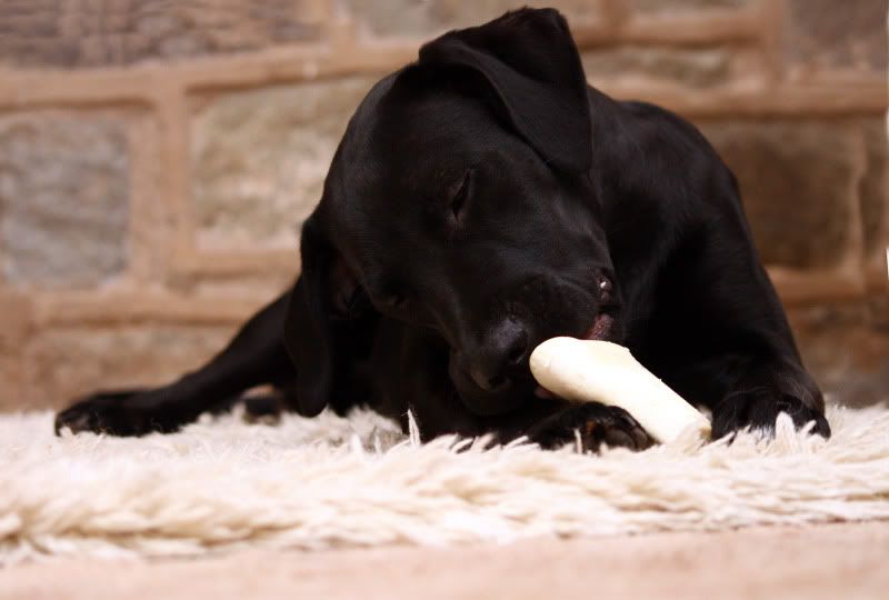 IMAGE: http://i65.photobucket.com/albums/h238/madasscivic/IMG_8595copy.jpg