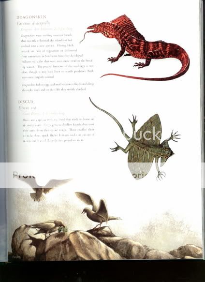 DragonskinandDiscus