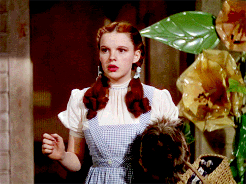 Dorothy Reaction GIFs - Oz Obsessed