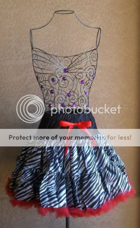   Pettiskirt Perfect for pictures, dress up, and even every day