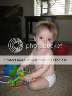 IMG_2265.jpg picture by jmmitchell76