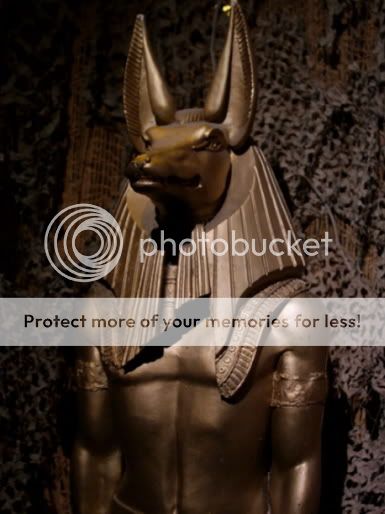 Anubis Pictures, Images and Photos