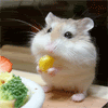 http://i65.photobucket.com/albums/h234/lalidia/