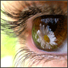 http://s65.photobucket.com/albums/h234/lalidia/